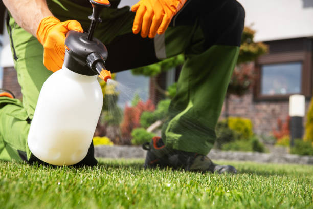Best Pest Removal Services  in Park City, IL