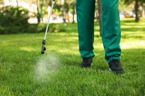 Trusted Park City, IL Pest Control Experts
