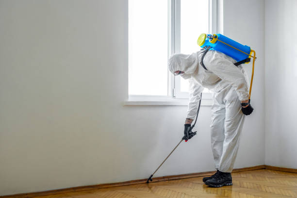 Best Mosquito Control Services  in Park City, IL