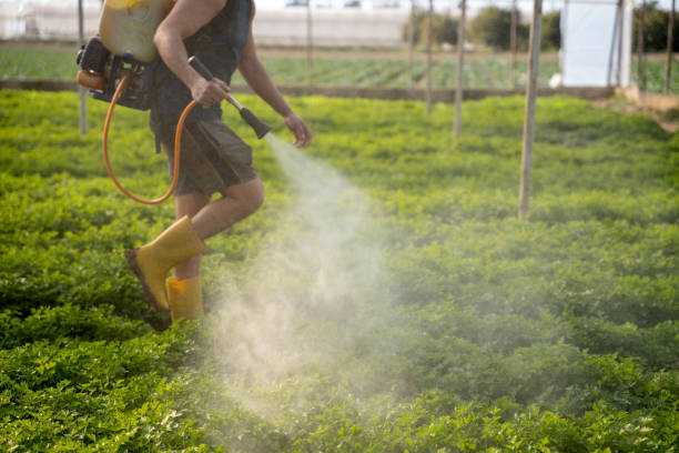 Best Ant Control Services  in Park City, IL