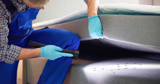 Best Best Pest Control Companies  in Park City, IL
