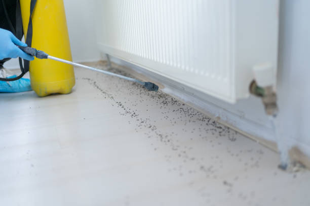 Best Local Pest Control Services  in Park City, IL