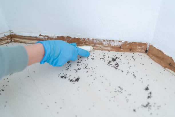 Best Affordable Pest Control Services  in Park City, IL
