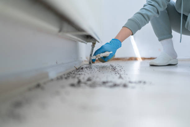 Best Local Pest Control Services  in Park City, IL