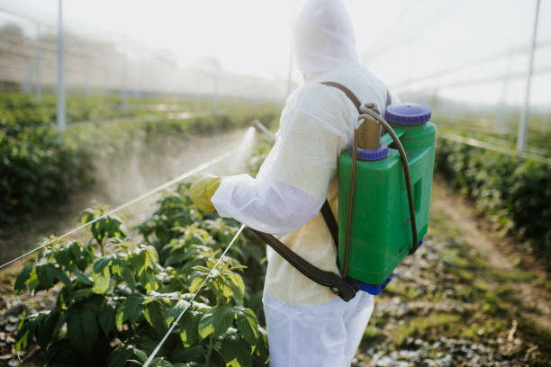 Best Bed Bug Extermination  in Park City, IL